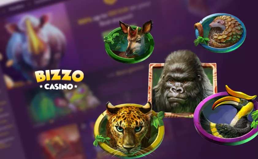 Informații generale despre Bizzo Casino