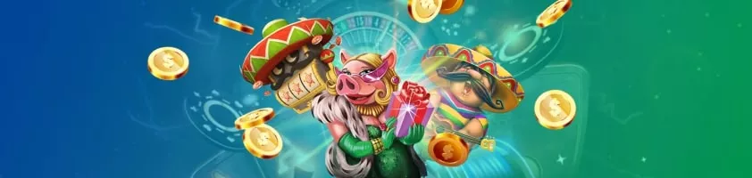 Bonuses and exclusive offers